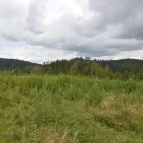 Bukowiec gm. Korzenna działka 1,06 ha 