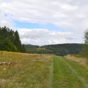 Bukowiec gm. Korzenna działka 1,06 ha 