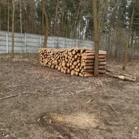 Drewno opałowe kominkowe BRZOZA DĄB OWOCOWE pocięte połupane układane
