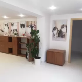 RASZYN, biuro do wynajęcia / media w cenie