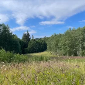 Sprzedam Działka 35 km od Morza Bałtyckiego Słupsk 
