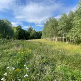 Sprzedam Działka 35 km od Morza Bałtyckiego Słupsk 
