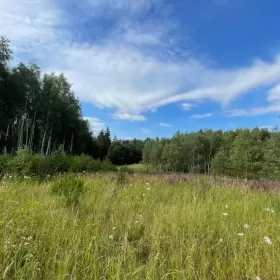Sprzedam Działka 35 km od Morza Bałtyckiego Słupsk 