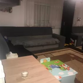 Dom na sprzedaż w centrum Czarnożył