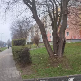 Sprzedam mieszkanie 3 pokojowe Gdynia 