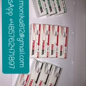 Testosteron Propionat Cypionat Enantat Sustanon Mix 400 Stanazol Hcg Armidex Tamofixen