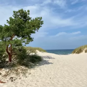 Smołdziński Las - działki budowlane nad morzem