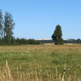 Smołdziński Las - działki budowlane nad morzem