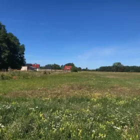 Smołdziński Las - działki budowlane nad morzem