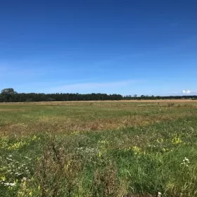 Smołdziński Las - działki budowlane nad morzem
