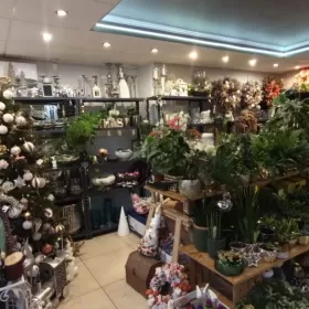 Sprzedam rentowną Kwiaciarnię wraz z marką