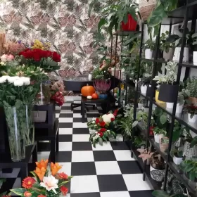 Sprzedam kwiaciarnię Wrocław 