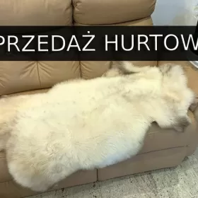Polska Skóra Owcza Dywan Naturalna Dekoracja