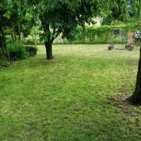 Sprzedam Działka ROD Nekla - Borówno Bydgoszcz 