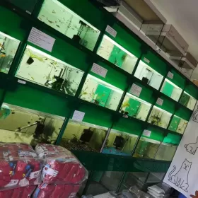 Sprzedam działający sklep zoologiczno-wędkarski