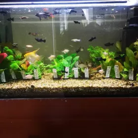 Sprzedam działający sklep zoologiczno-wędkarski