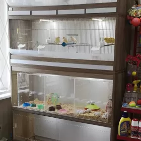 Sprzedam działający sklep zoologiczno-wędkarski