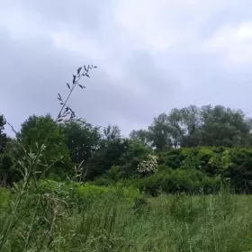 Sprzedam działkę budowlana w Krakowie