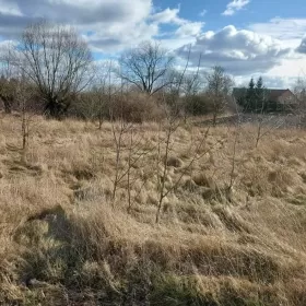 Sprzedam bardzo ładną działkę budowlaną w Bydgoszczy