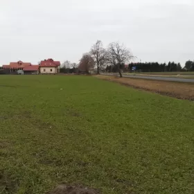 Działka Budowlana 3000 m2 Zakrzewo kuj-pom