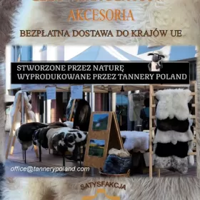 Bio garbowane skóry owcze i jagnięce. Organiczne 