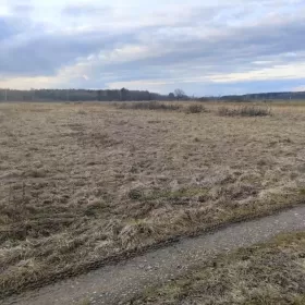 Niedzieliska Działka Rolna 83,92ar