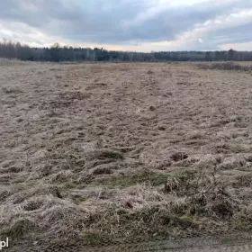 Niedzieliska Działka Rolna 83,92ar