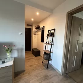 Mieszkanie na wynajem Wynajmę mieszkanie 2 pokoje Szczecin Pomorzany Wolne