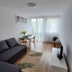 Wynajmę mieszkanie Wrocław przy Wroclavii, 2 osobne pokoje 42m2