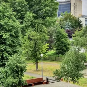 Wynajmę mieszkanie Wrocław przy Wroclavii, 2 osobne pokoje 42m2