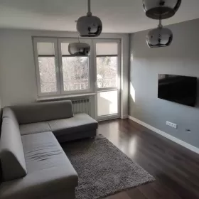 Komfortowe mieszkanie do wynajęcia