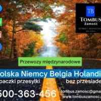 Tomasz
